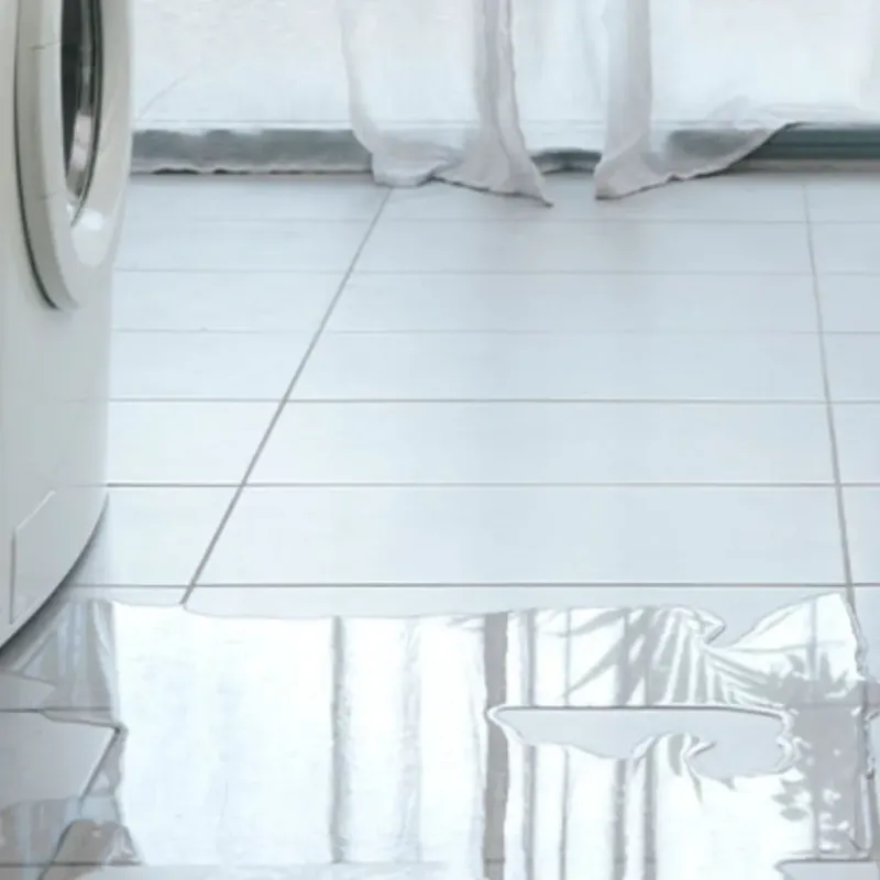 Appliance Leak Cleanup in Rayne, LA