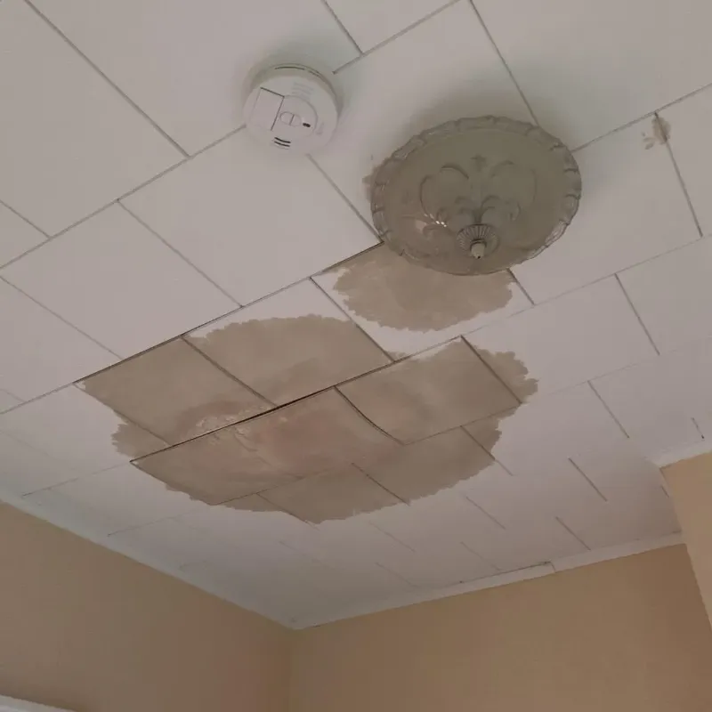 Ceiling Water Damage Repair in Rayne, LA